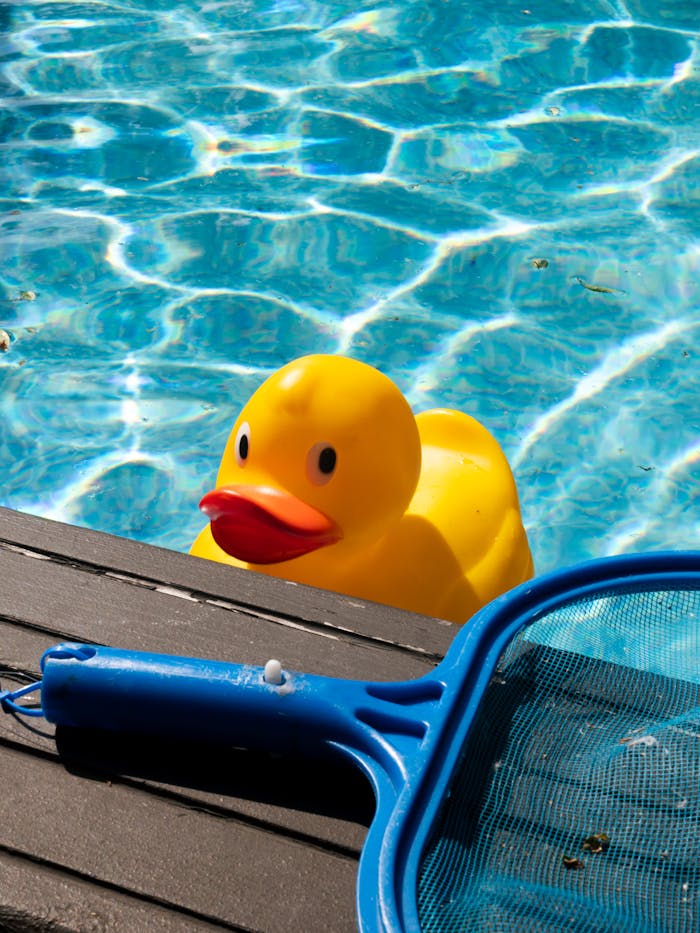 A bright yellow rubber duck floating in a sparkling pool on a sunny day, perfect for summer themes.